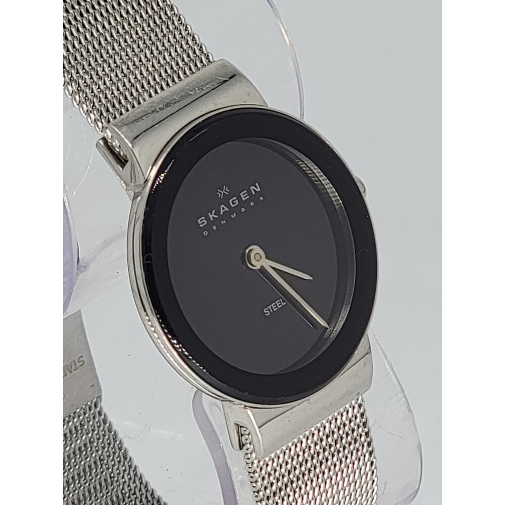 Skagen Classic 358SSSB Women Stainless Steel Analog Dial Quartz Wrist Watch